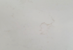 Carrara White 2cm - CloseUp